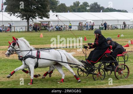 September 2023. Newbury Show kehrte heute zum ersten Mal seit der Pandemie zurück. Die Veranstaltung fand am Wochenende des 16. Und 17. September auf dem Newbury Showground, Berkshire, England, nach einer dreijährigen Lücke statt. Die Show, auch Royal County of Berkshire Show genannt, wurde von der Newbury & District Agricultural Society organisiert und war gut besucht. Rasender Wettkampf in der Haupthalle. Stockfoto