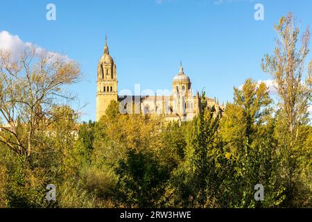 Neue Kathedrale von Salamanca (Catedral Nueva) und Catedral Vieja de Santa Maria de la Sede de Salamanca Gebäude, Sommerblick, Spanien Stockfoto