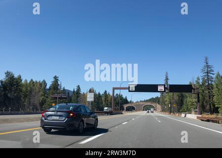 Am Freitag, den 8. September 2023, nähert sich der Verkehr der Keechelus Lake Wildlife Overcrossing in der Nähe des Snoqualmie Pass in Washington Stockfoto