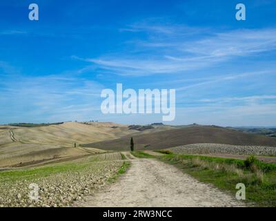 Feldweg zwischen den Hügeln in der toskanischen ländlichen Landschaft Stockfoto