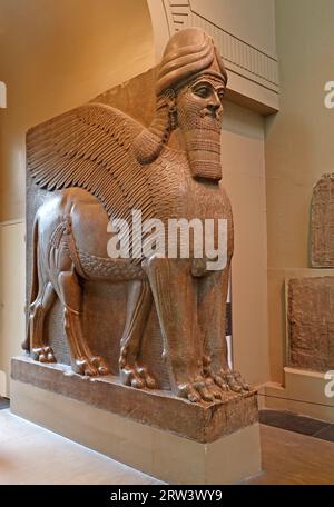 Winged Lion, Assyrian 650BC, British Museum, Great Russell Street, Bloomsbury, London, England, UK, WC1B 3-polig Stockfoto