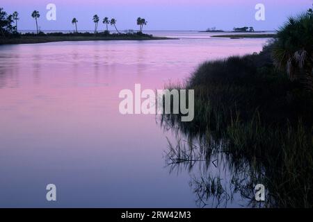 Sonnenaufgang über Salzwiesen, Vassey Creek Park, Yankeetown, Florida Stockfoto