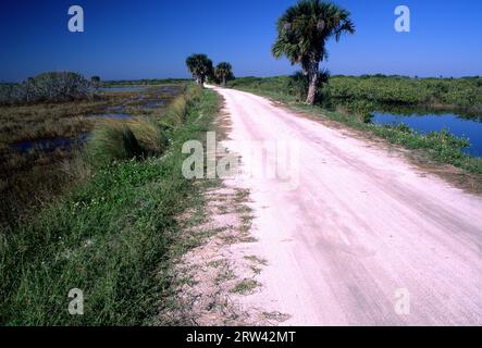 Schwarzer Punkt Wildlife Drive, Merritt Island National Wildlife Refuge, Florida Stockfoto