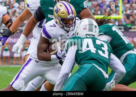 East Lansing, Michigan, USA. September 2023. Washington Running Back DILLON JOHNSON (7) trägt den Ball bei Washingtons Sieg über Michigan State im Spartan Stadium 41-7. (Bild: © Scott Mapes/ZUMA Press Wire) NUR REDAKTIONELLE VERWENDUNG! Nicht für kommerzielle ZWECKE! Quelle: ZUMA Press, Inc./Alamy Live News Stockfoto