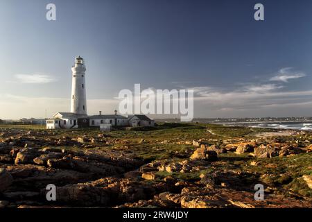 Seal Point Lighthouse, der Leuchtturm in Cape St. Francis an der Garden Route in Südafrika, im Abendlicht. Abendlicht am Seal Point Stockfoto