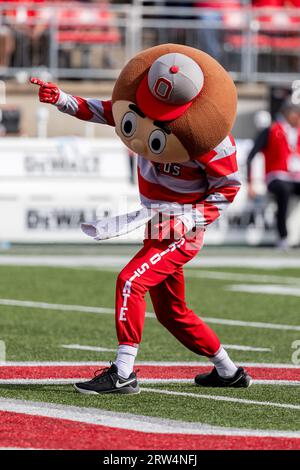 Columbus, Ohio, USA. September 2023. Ohio State Buckeyes Maskottchen Brutus auf dem Feld vor dem Spiel zwischen den Western Kentucky Hilltoppers und den Ohio State Buckeyes im Ohio Stadium, Columbus, Ohio. (Bild: © Scott Stuart/ZUMA Press Wire) NUR REDAKTIONELLE VERWENDUNG! Nicht für kommerzielle ZWECKE! Stockfoto