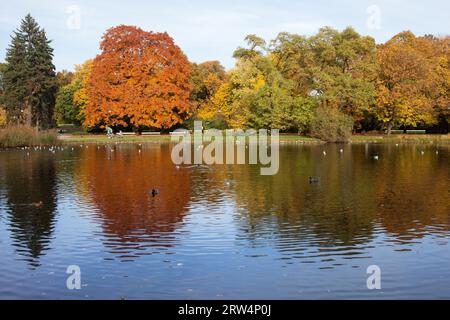 See- und Herbstbäume mit Reflexionen auf dem Wasser im Ujazdowski Park, Stadtzentrum von Warschau, Polen Stockfoto