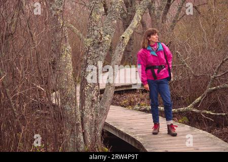 Red Maple Swamp Trail, Cape Cod National Seashore, Massachusetts Stockfoto