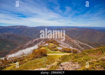 Im Sommer Blick vom Mt Buller über wenig Buller Sporn und der Viktorianischen Alpen in Australien Stockfoto