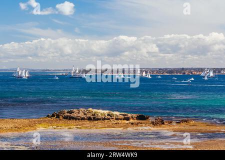 Die Flotte der Tall Ships verlässt Port Phillip Bay von PT Nepean in der Nähe von Melbourne, Australien Stockfoto