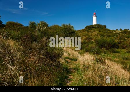 Postkarte Leuchtturm auf der insel Hiddensee im Sommer Stockfoto