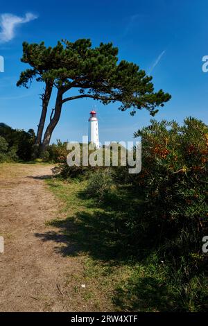 Postkarte Leuchtturm auf der insel Hiddensee im Sommer Stockfoto