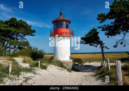 Postkarte Leuchtturm auf der insel Hiddensee im Sommer Stockfoto