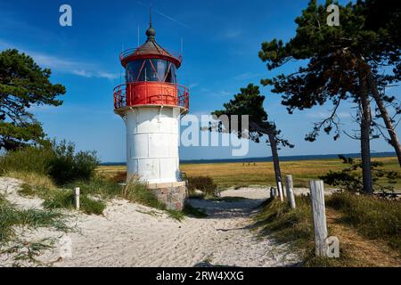 Postkarte Leuchtturm auf der insel Hiddensee im Sommer Stockfoto