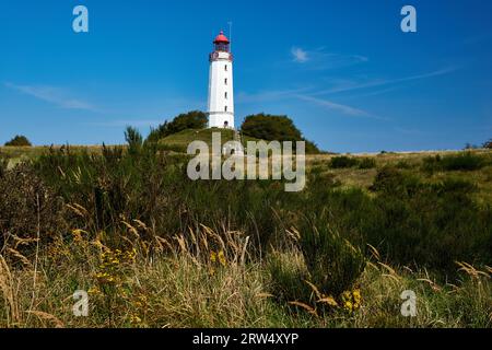 Postkarte Leuchtturm auf der insel Hiddensee im Sommer Stockfoto