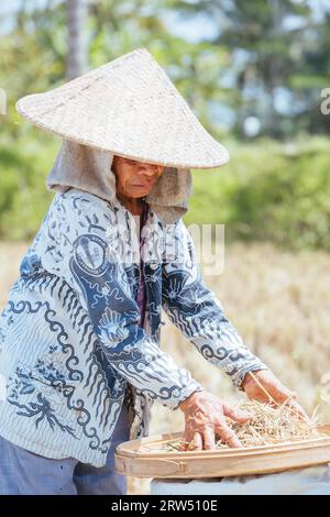 Ubud, Indonesien, 4. September: Ein nicht identifizierter Reisbauer arbeitet an einem heißen sonnigen Nachmittag in der Nähe von Ubud, Bali, Indonesien Stockfoto