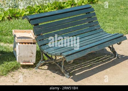 Evora, Portugal, 30. April 2014: Bienen auf dem alten Platz der Stadt Evora in Portugal Stockfoto