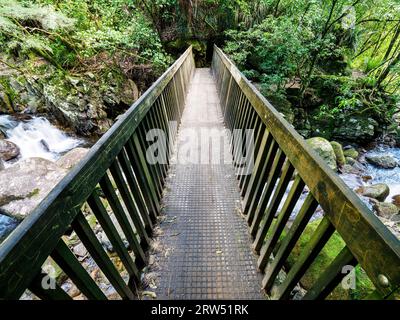 Waldbrücke über den Bergfluss. Wairere Falls Track. Geländer, Ständer, Handläufe. Stockfoto