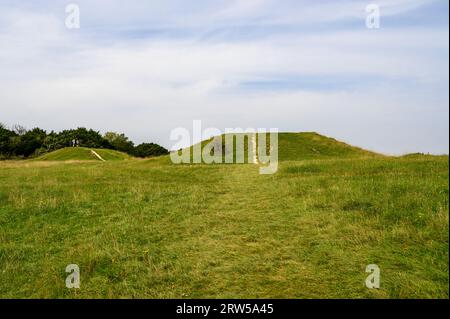 Die Devil's Humps Barrows (Grabhügel) stammen aus der Bronzezeit auf dem Bow Hill in South Downs, West Sussex, England. Stockfoto