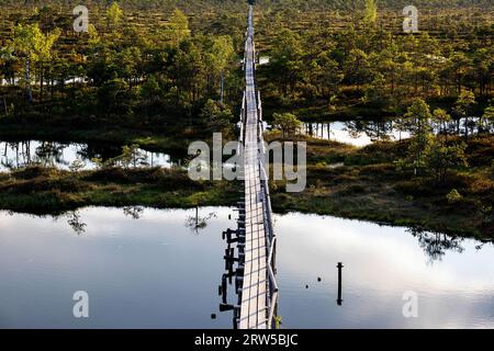 Wunderschöner Wanderweg Mannikjarve, Holzsteg im Endla Naturreservat, umgeben von Pools und Inselchen an einem sonnigen Sommertag, Estland Stockfoto