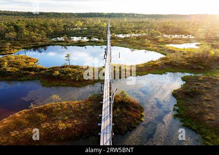 Wunderschöner Wanderweg Mannikjarve, Holzsteg im Endla Naturreservat, umgeben von Pools und Inselchen an einem sonnigen Sommertag, Estland Stockfoto