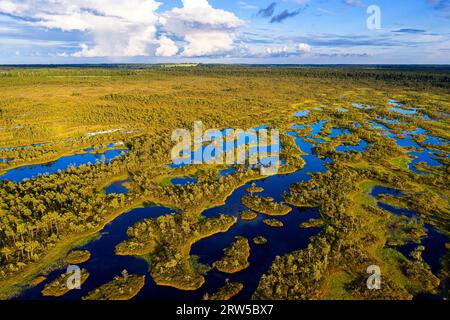 Luftaufnahme der spektakulären Mannikjarve Moorpools und Inselchen im Endla Nature Reserve an einem wunderschönen sonnigen Sommertag, Jogevamaa County, Estland Stockfoto