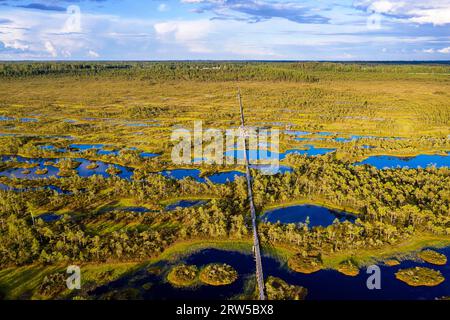 Luftaufnahme von Mannikjarve Boardwalk, Moorbecken und Inselchen im Endla Nature Reserve, Jogevamaa County, Estland Stockfoto