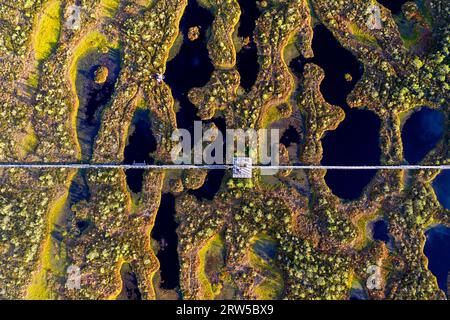 Luftaufnahme von Mannikjarve bog Pools und Inselchen in Endla Naturschutzgebiet, Jogevamaa County, Estland Stockfoto