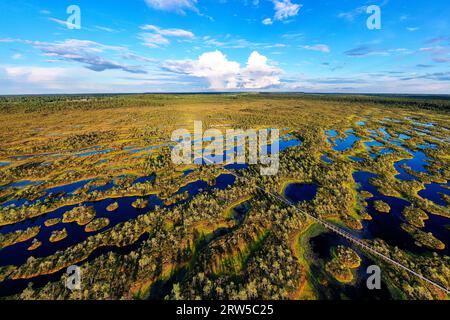 Luftaufnahme eines spektakulären Mannikjarve Moorwanderweges im Jogeva County, umgeben von vielen Pools an schönen Sommerabenden, Estland Stockfoto