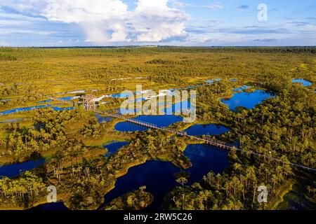 Luftaufnahme eines Wachturms auf dem wunderschönen Mannikjarve Moorwanderweg im Jogeva County, umgeben von Pools an schönen Sommerabenden, Estland Stockfoto