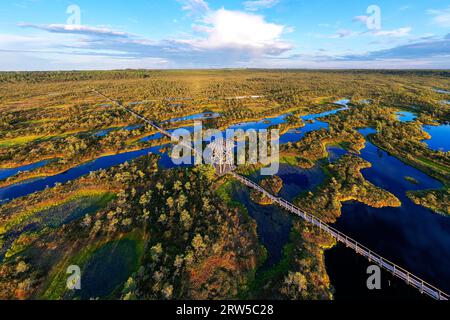 Luftaufnahme eines spektakulären Mannikjarve Moorwanderweges im Jogeva County mit einem Turm, umgeben von Pools und Bäumen im Abendlicht, Estland Stockfoto