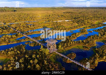 Luftaufnahme eines Wachturms auf dem spektakulären Mannikjarve Moorwanderweg im Jogeva County, umgeben von Pools an schönen Sommerabenden, Estland Stockfoto