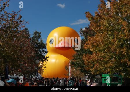 Toronto, Kanada. September 2023. Die größte Gummiente der Welt ist während des jährlichen Toronto Waterfront Festivals im Queens Quay East in Toronto zu sehen. Quelle: SOPA Images Limited/Alamy Live News Stockfoto