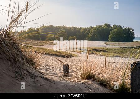 Reisen Sie durch die bezaubernde Landschaft der Boberger Dünen in Hamburg, wo sich ein Sandweg durch Dünen schlängelt, umgeben von wogendem Dünengras und A Stockfoto