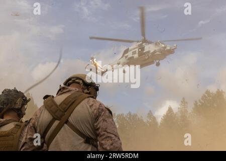 Ein Sikorsky MH-60R Seahawk der US Navy landet auf der Townsend Bombing Range, Georgia, 28. August 2023 Marine Corps Foto von Lance CPL. Kyle Baskin Stockfoto