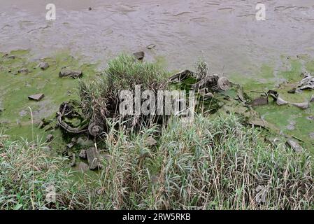 Um Großbritannien herum – Überreste eines Fahrzeugs im River Ribble in Preston Stockfoto