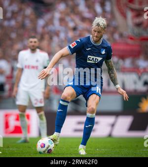 Köln, Deutschland. September 2023. Wout Weghorst (1899) 1. FC Köln - TSG 1899 Hoffenheim 16.09.2023 Copyright (nur für journalistische Zwecke) von : Stockfoto