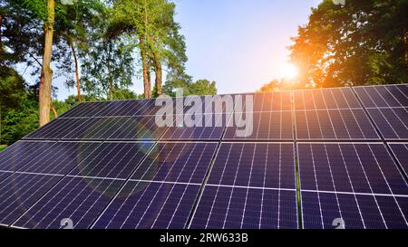 Solarpaneele mit großer Oberfläche. Photovoltaikpaneele stehen auf einer gepflasterten Oberfläche vor dem Hintergrund von Bäumen und Büschen. Stockfoto