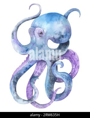 Aquarelldarstellung eines auf weißem Hintergrund isolierten Oktopus. Unterwassertiere des Ozeans Stockfoto