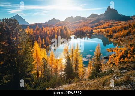 Atemberaubende Naturlandschaft mit alpinem See in den Dolomiten im Herbst, See Federa, Italien, Europa Stockfoto
