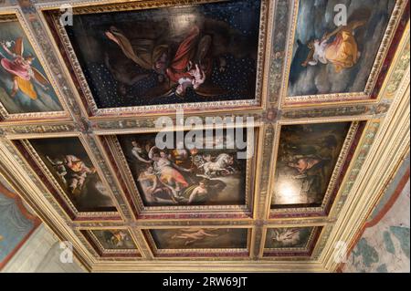An der Decke befinden sich neun Gemälde mit je einem Holzrahmen des in Florenz geborenen Jacopo Zucchi 1541 /1543 ca. – 1590/1592 ca. in Zimmer A14, Terra Stockfoto