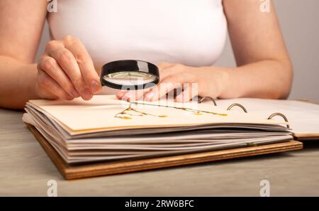 Herbariumbuch, Blumen studieren, trockene Pflanzen auf Papierseite Stockfoto