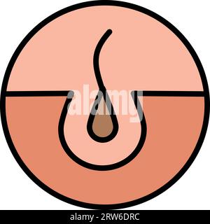 Symbol Follicle Shine Concept Color (Follikelglanz). Glänzendes Haar mit einfachem Piktogramm im Keratin-Effekt. Symbol „Haarfollikel Flach“. Isolierter Vektor – Abbildung. Stock Vektor