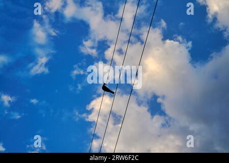 Kran auf einem blauen Himmelshintergrund Stockfoto