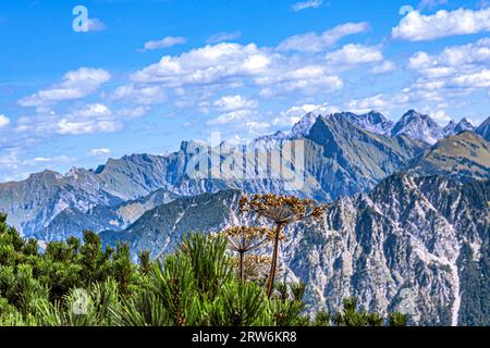 BAYERN : OBERALLGÄU - OBERSTDORF - FELLHORN Stockfoto