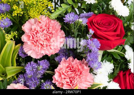 Verschiedene Farben Blumen Hintergrund mit grünen Blättern Nahansicht Stockfoto