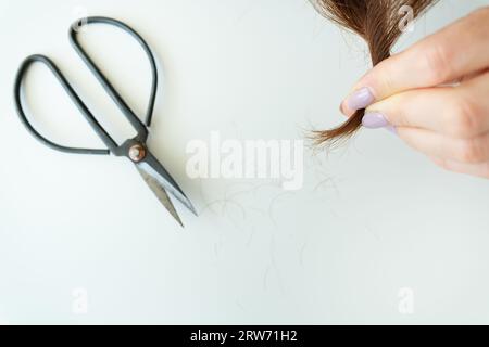 Der Friseur schneidet braune Haare mit einer Schere. Haarschnitt Nahaufnahme. Spliss loswerden, Haarpflege Stockfoto