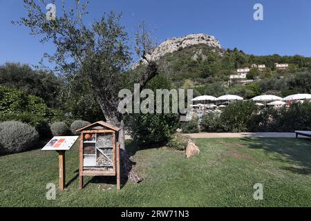 Gärten von Schloss Saint-Martin, Vence, Alpes-Maritimes, Provence-Alpes-Cote d'Azur, Frankreich. Stockfoto