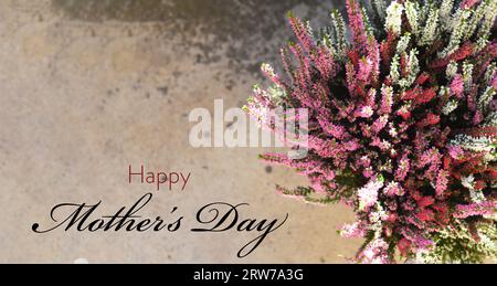 Happy Mothers Day-Karte mit Heidekrautblumen auf Grunge-Hintergrund Stockfoto