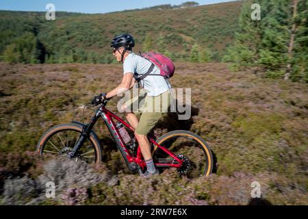 Glenfeshie Forest, cairngorms National Park Schottland Vereinigtes Königreich Stockfoto